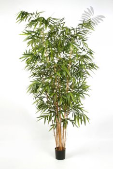 NEW BAMBOO BIG LEAF 300cm 34510N