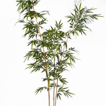 Preview: NEW BAMBOO ELEGANT TREE 34909N