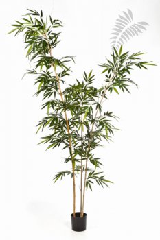 NEW BAMBOO ELEGANT TREE 34909N