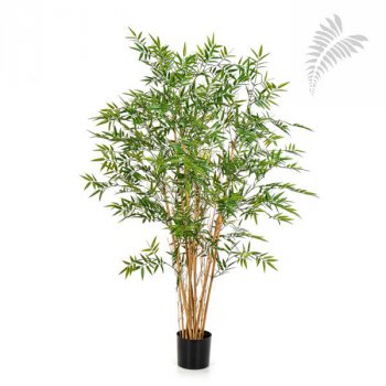 JAPANESE BAMBOO UV 35205UV