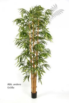 NEW GIANT BAMBOO BIG LEAF 35408N