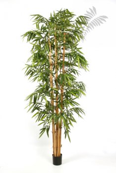 NEW GIANT BAMBOO BIG LEAF 35410N