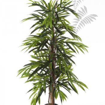 Preview: FR DELUXE LONGIFOLIA TREE 35805FR