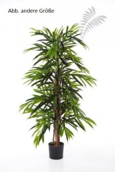 FR DELUXE LONGIFOLIA TREE 35807FR