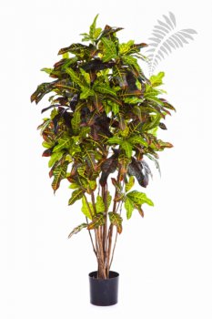 FR CROTON TREE 37605FR