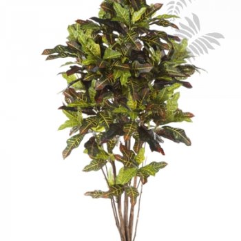 Preview: FR CROTON TREE 37606FR