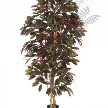 Preview: CAPENSIA BUSH TREE 37906NR