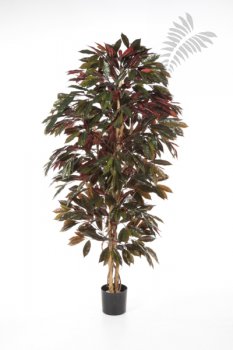 CAPENSIA BUSH TREE 37906NR