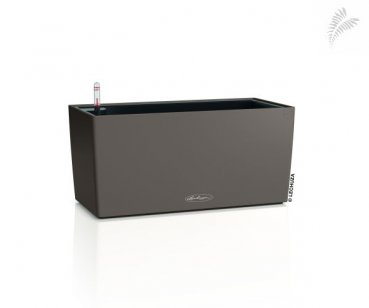 BALCONERA Color 40 muskat -A- 15476