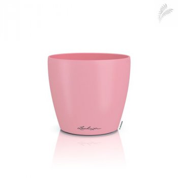 CLASSICO Color DECO 14 magnolie -A- 16684