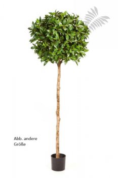 LAUREL TREE DE LUXE 41004N