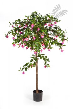 FUCHSIA UMBRELLA TREE 42005FU