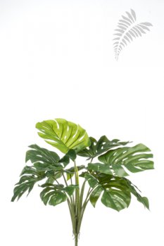 Monstera Busch 60cm 10 Blätter 422993