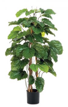 TETRASTIGMA BUSH TREE 43104N