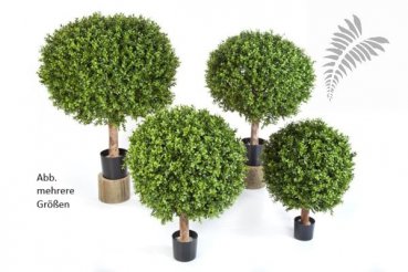 BOXWOOD BALL 50 cm 44550N