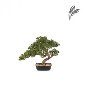 Mini Pine Bonzai+Black Pot 44cm 45801N