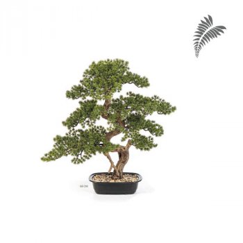 Mini Pine Bonzai+Black Pot 68cm 45802N
