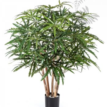 Preview: ARALIA BUSH TREE 85cm 51503N