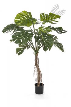 SPLIT PHILO ROOT TREE 130 CM 51904N