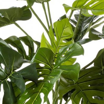 Preview: Split Philo 85cm 52003N