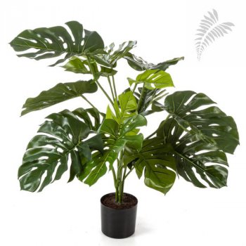 Split Philo 85cm 52003N