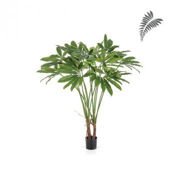 Philodendron Goeldii/Pot 110cm 53004N