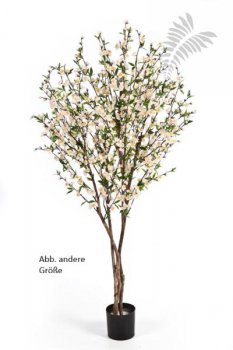 CHERRY BLOSSOM 140 CM CREAM 55205CR