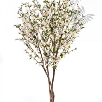 Preview: CHERRY BLOSSOM 170 CM CREAM 55206CR