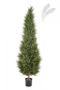 CYPRESS TOWER TREE 56106N