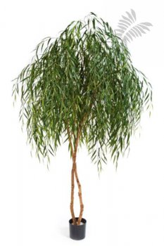 WILLOW TREE 56208N