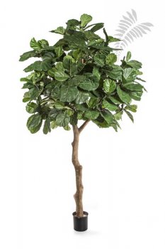 FIDDLE LEAF GIANT TREE 12' 56912N