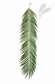 PHOENIX PALM SPRAY 107 CM 5920M