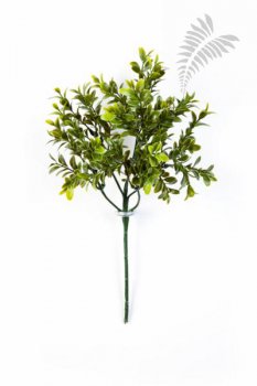 BOXWOOD SPRAY X 48 5926N