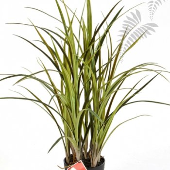 Preview: NATURAL GRASS 75CM 5927N