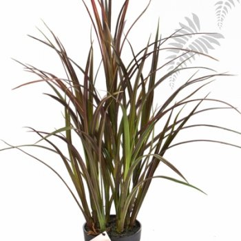 Preview: NATURAL RED GRASS 75 CM 5927R