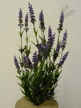 Lavender Bush X19 - Purple 52cm 5935PU