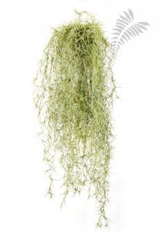 FR LONG HAIR BUSH 80 GRAY 5940GR-FR