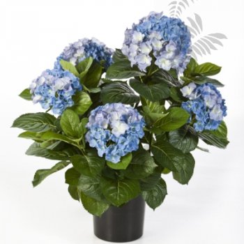 Preview: HYDRANGEA BUSH DE LUXE BLUE 6252BL