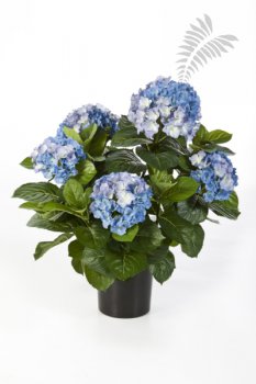 HYDRANGEA BUSH DE LUXE BLUE 6252BL