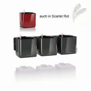Lechuza Premium Green Wall Home Kit Cube Glossy scarlet rot All-in-One Set -A-