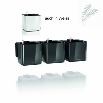 Lechuza Premium Green Wall Home Kit Cube Glossy weiss All-in-One Set -A-