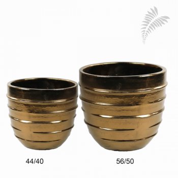 Beauty Couple RU 44/h40 Gold -A-