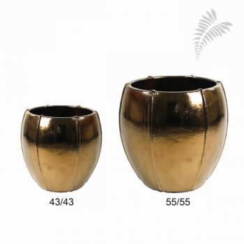 Moda Couple RU 43/h43 Gold -A-