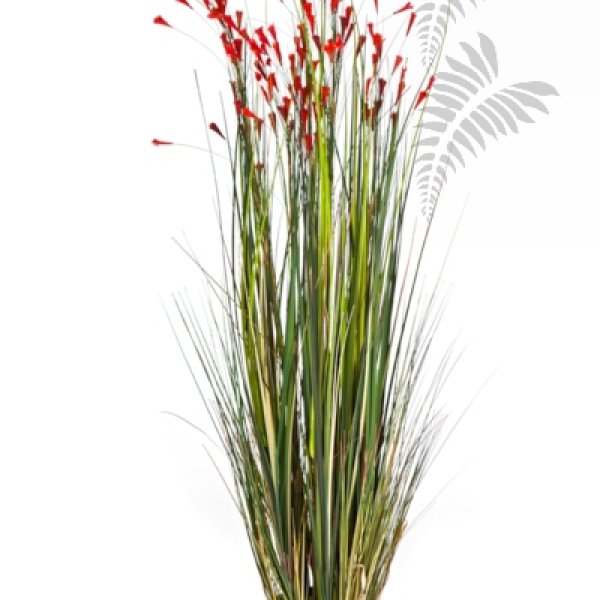 CORAL GRASS W/RED FLOWERS 1046R