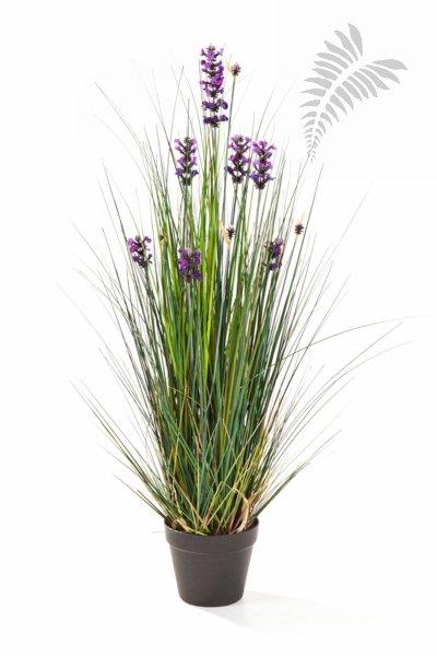 LAVENDER GRASS 90 1047LV-090