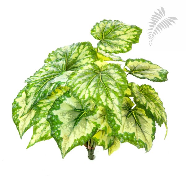 Wax Begonia Bush X 7 Green 34cm 1062N