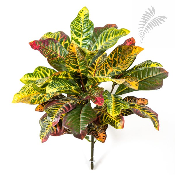 Croton Leaf Bush X 35 Lvs 55cm 1072N