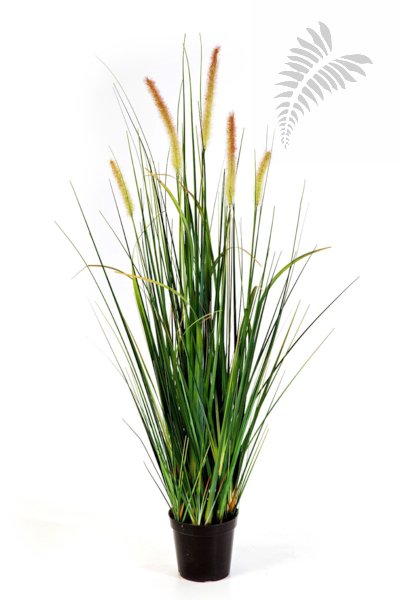 FOXTAIL WILD GRASS W/FL 95cm 1103N-095
