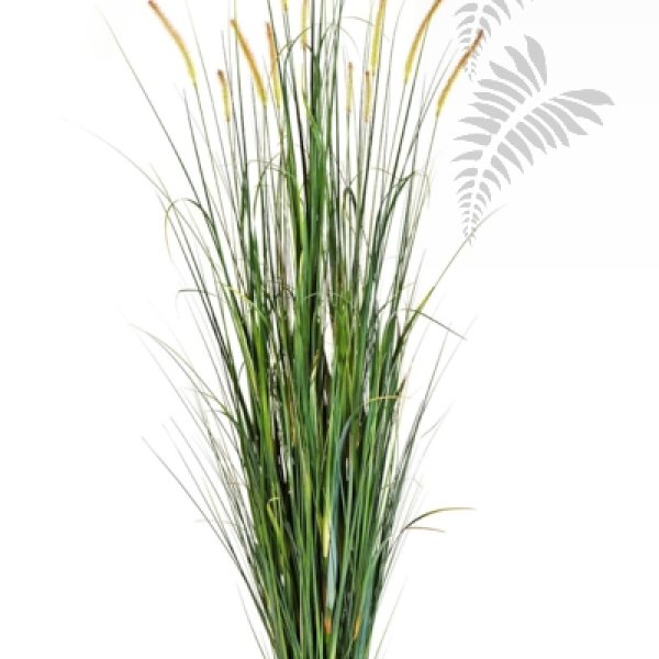 FOXTAIL WILD GRASS W/FL 175cm 1103N-175