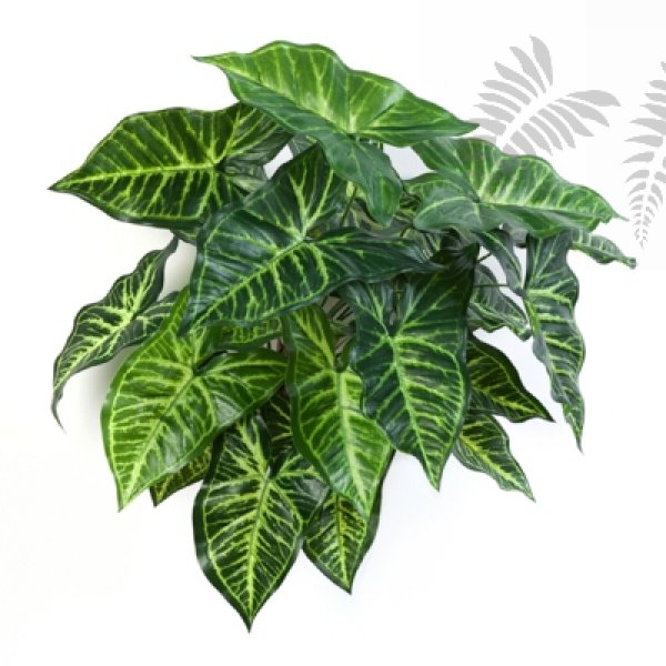 PHILO BUSH X 27 1113N